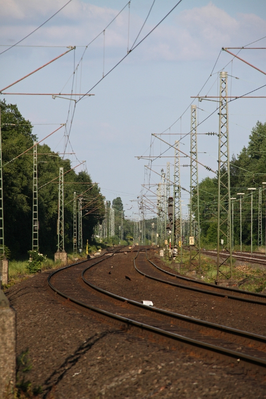 Güterbahn am NSG Beversee.JPG - Güterbahn am NSG Beversee